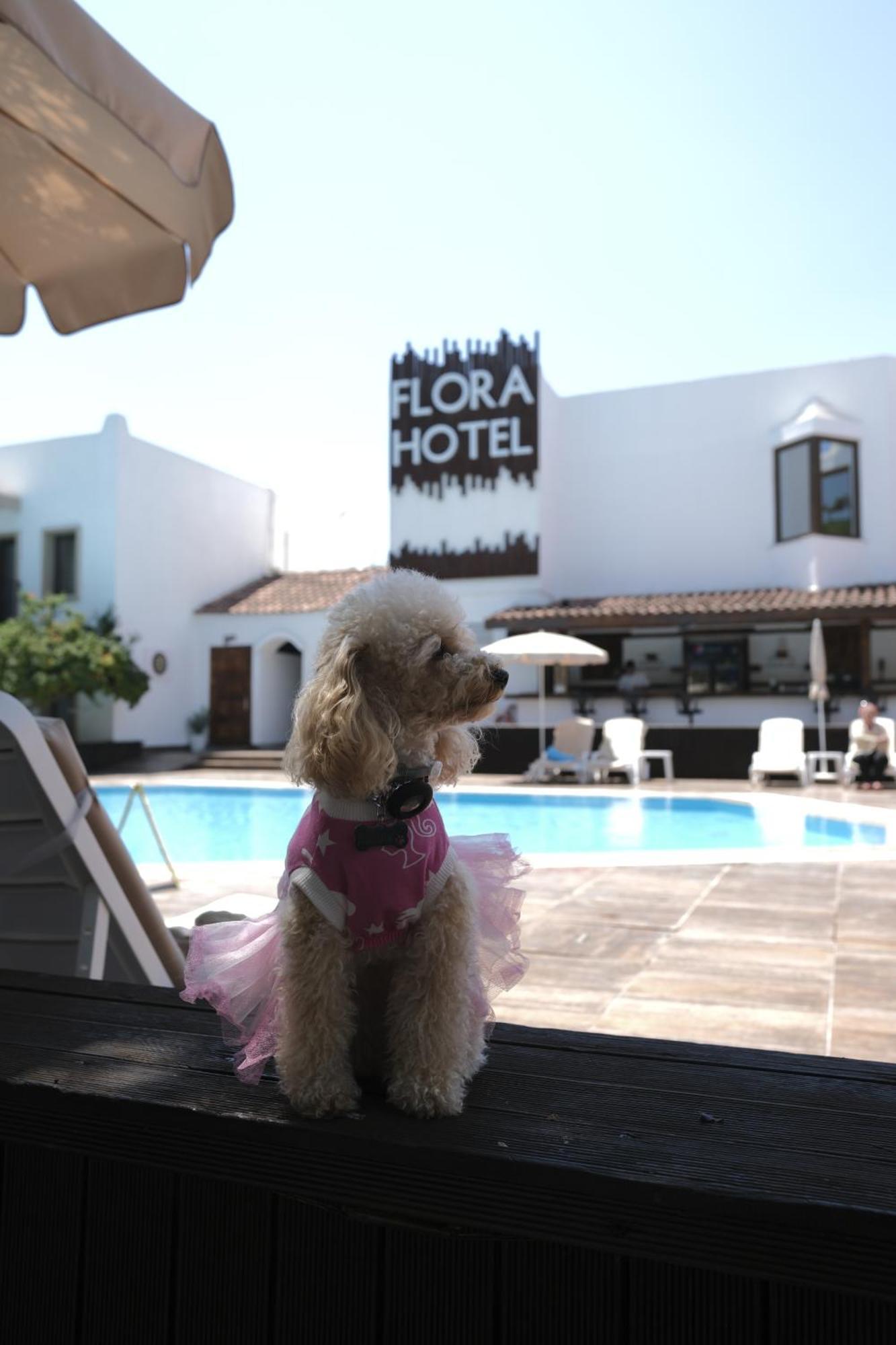 Flora Hotel Gümbet Esterno foto